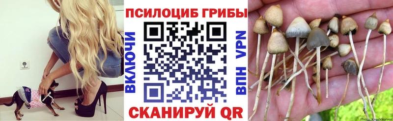 Купить  Балабаново  Галлюциногенные грибы прущие грибы 